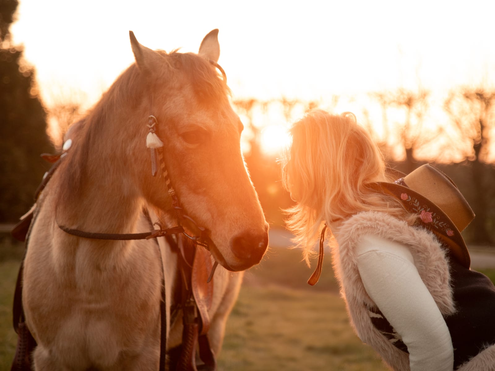 Paardenfotografie